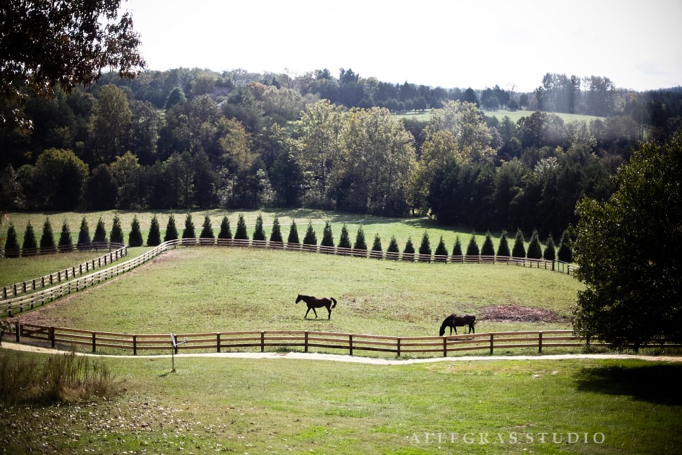 nagsheadfarm20120929-101.jpg