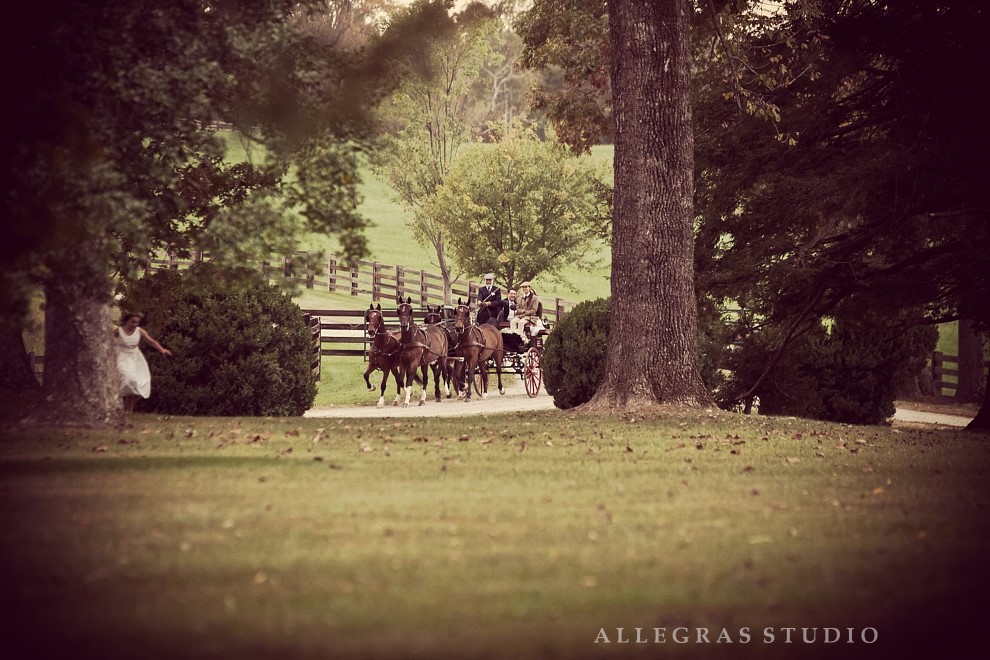 z oakridgeestate20120929-101.jpg